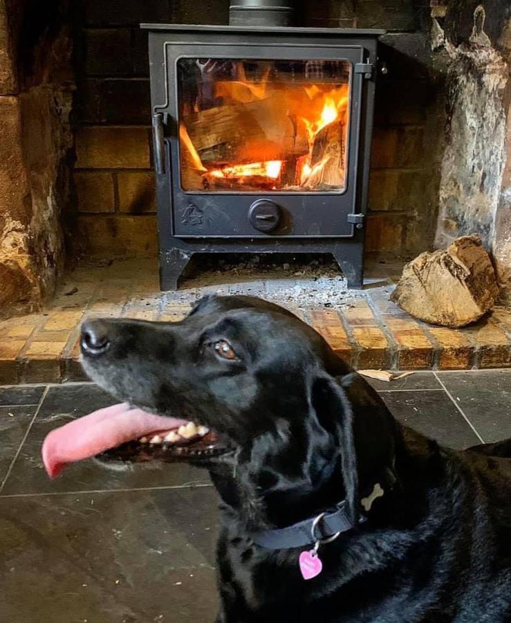 The Coach And Horses Inn 쳅스토 외부 사진