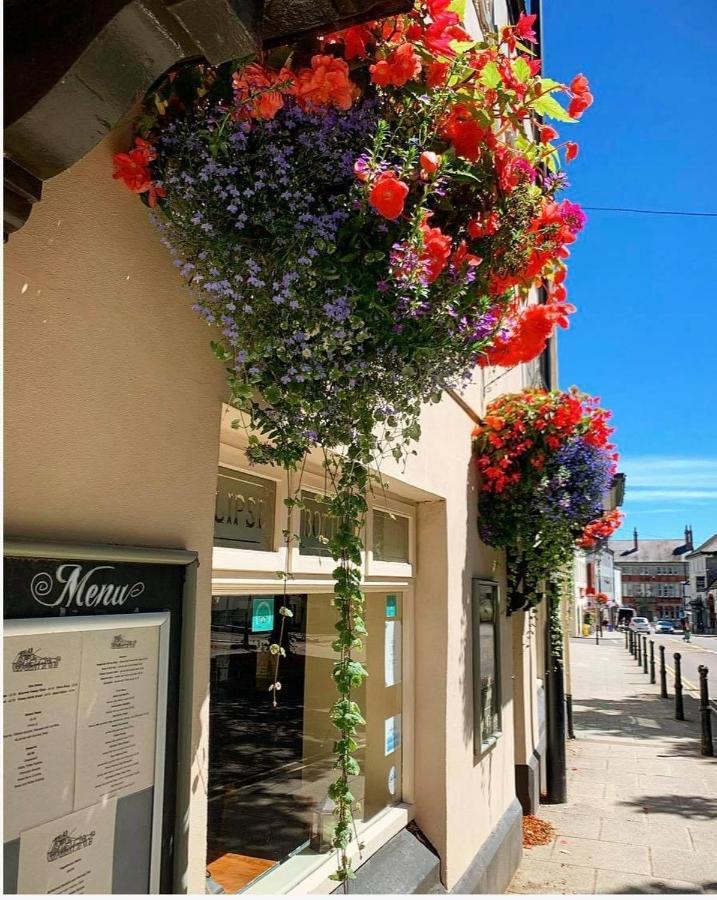 The Coach And Horses Inn 쳅스토 외부 사진